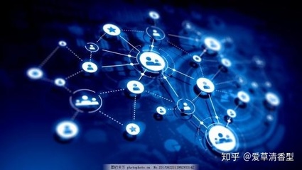 互联网小白转行自媒体 从零开始打造个人互联网服务品牌